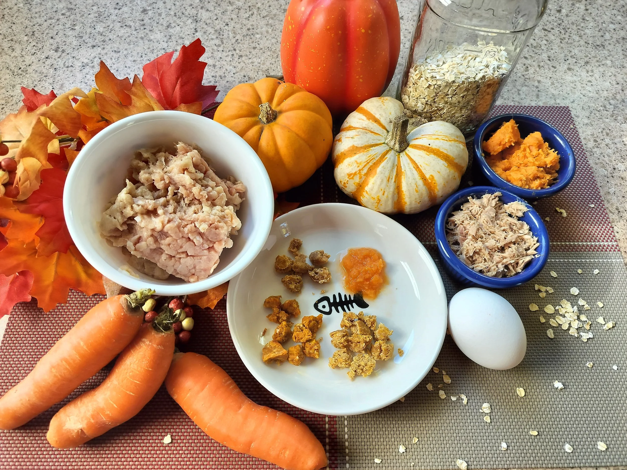 A display of the ingredients used for Fall cat treat recipes