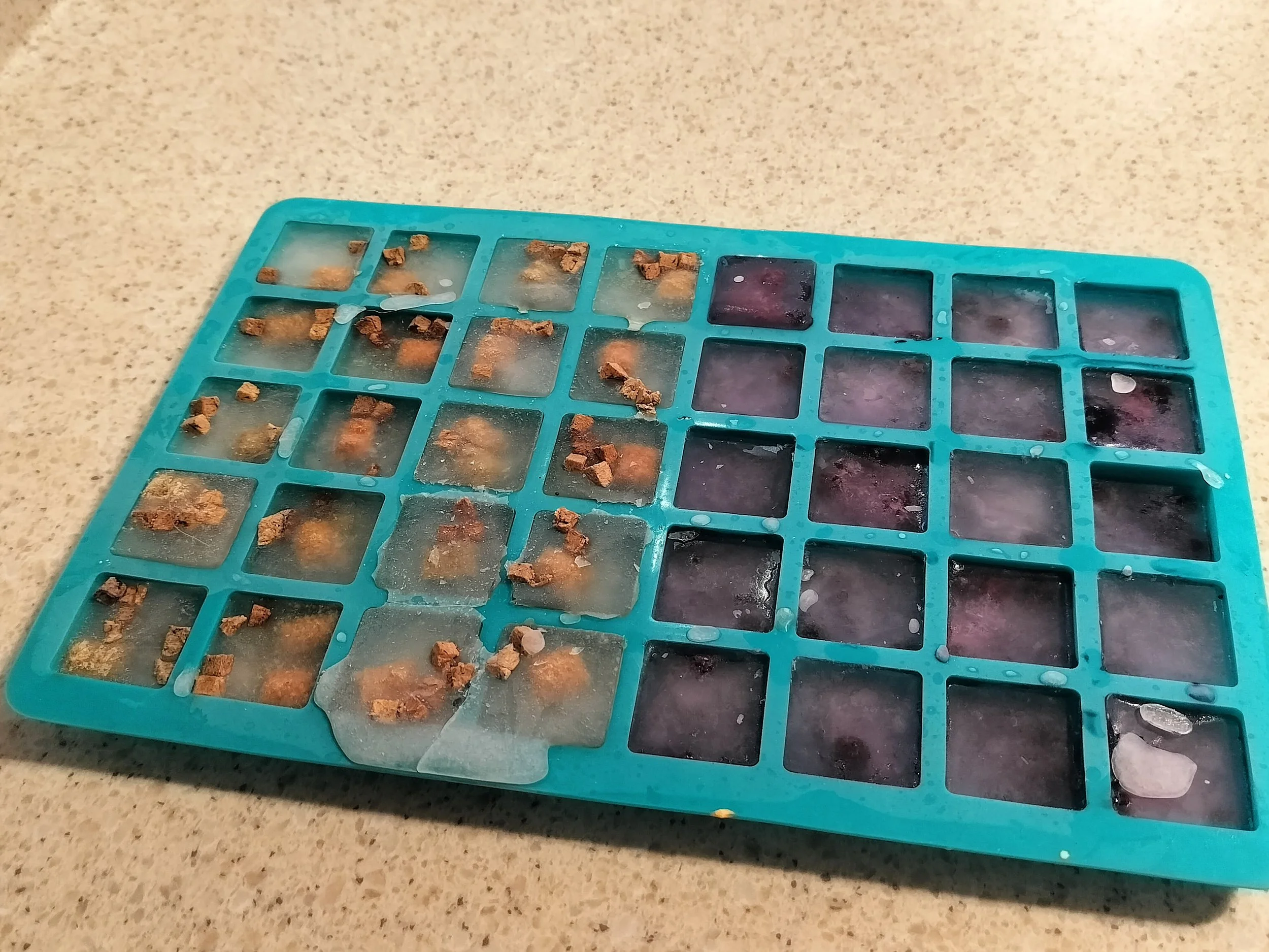 A silicone ice cube tray filled with ice cubes containing cat treats and berries for pets