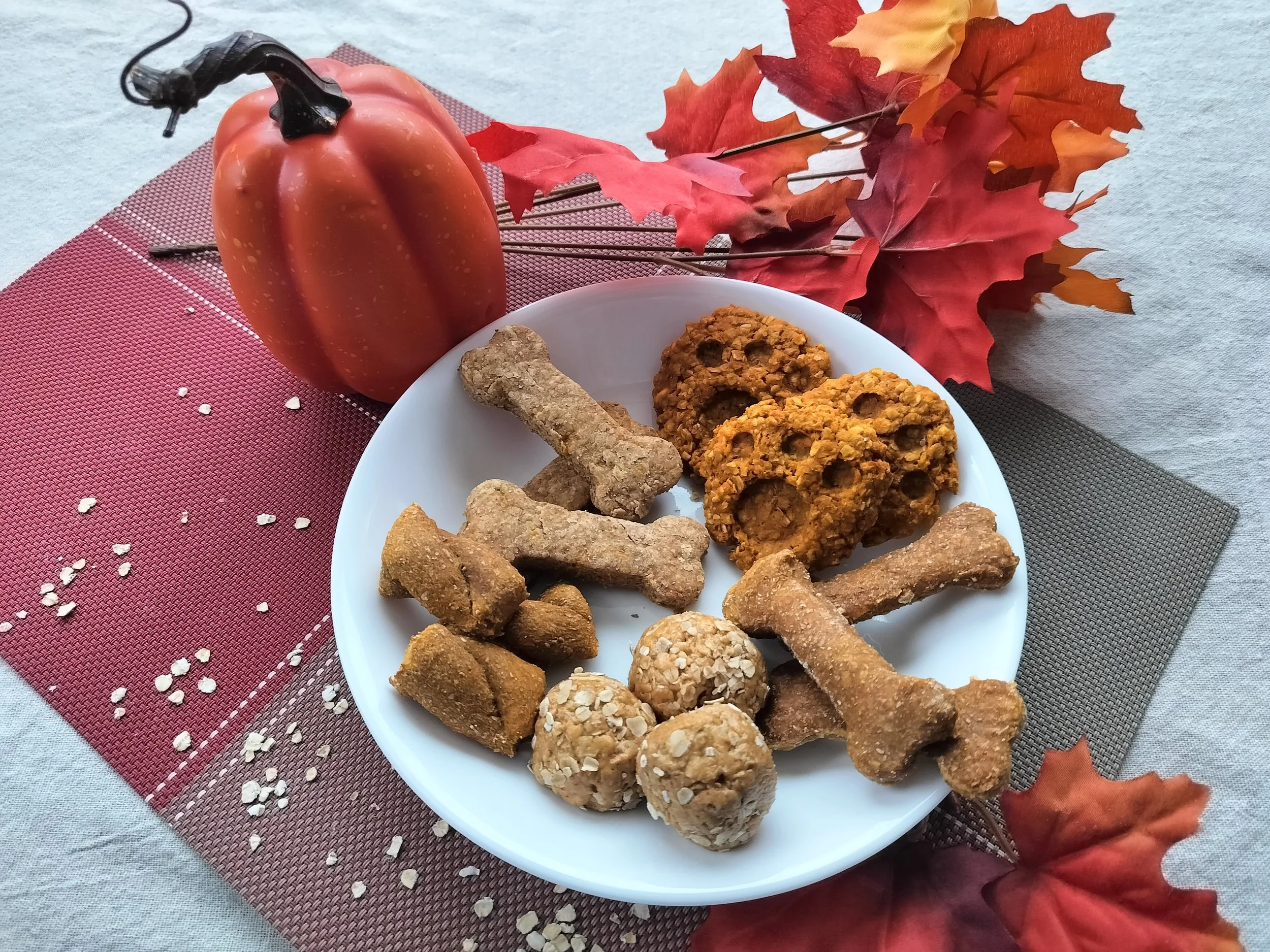 A plate of various homemade fall-themed dog treats