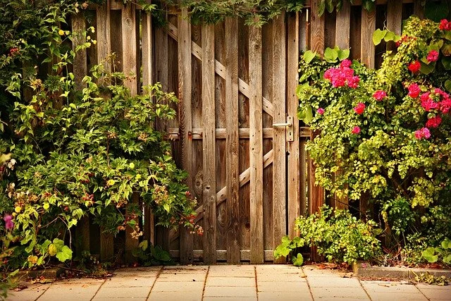 a tall garden gate with a secure latch keeps your pets safe in their yard