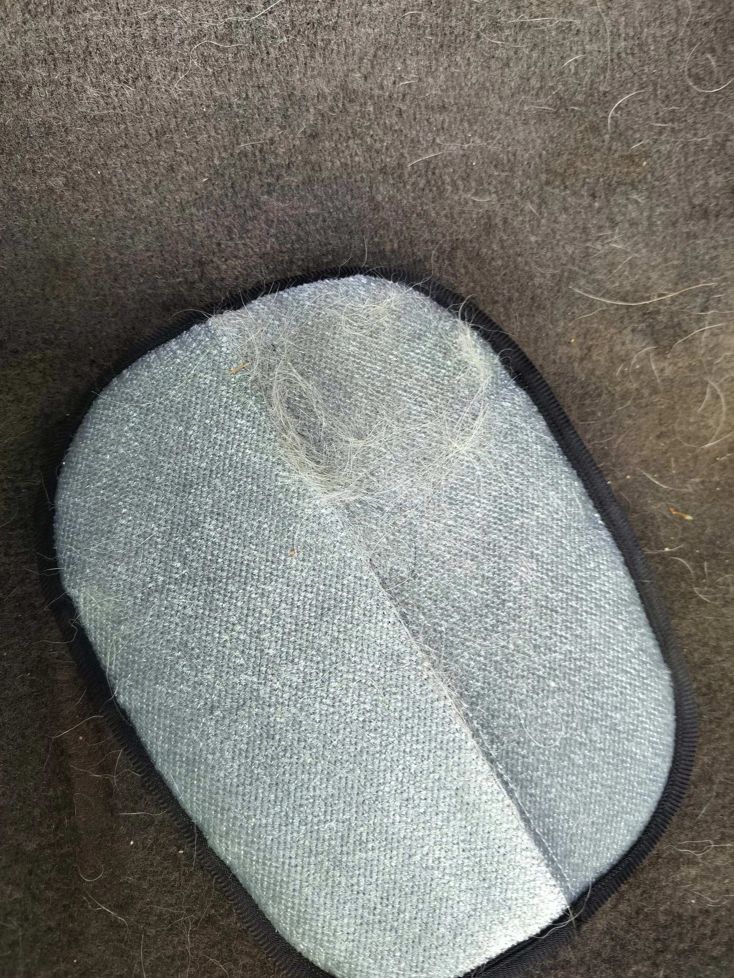 A pet hair removal mitt that picks up loose pet hair from cars