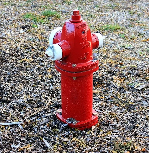 A fire hydrant surrounded by wood chips