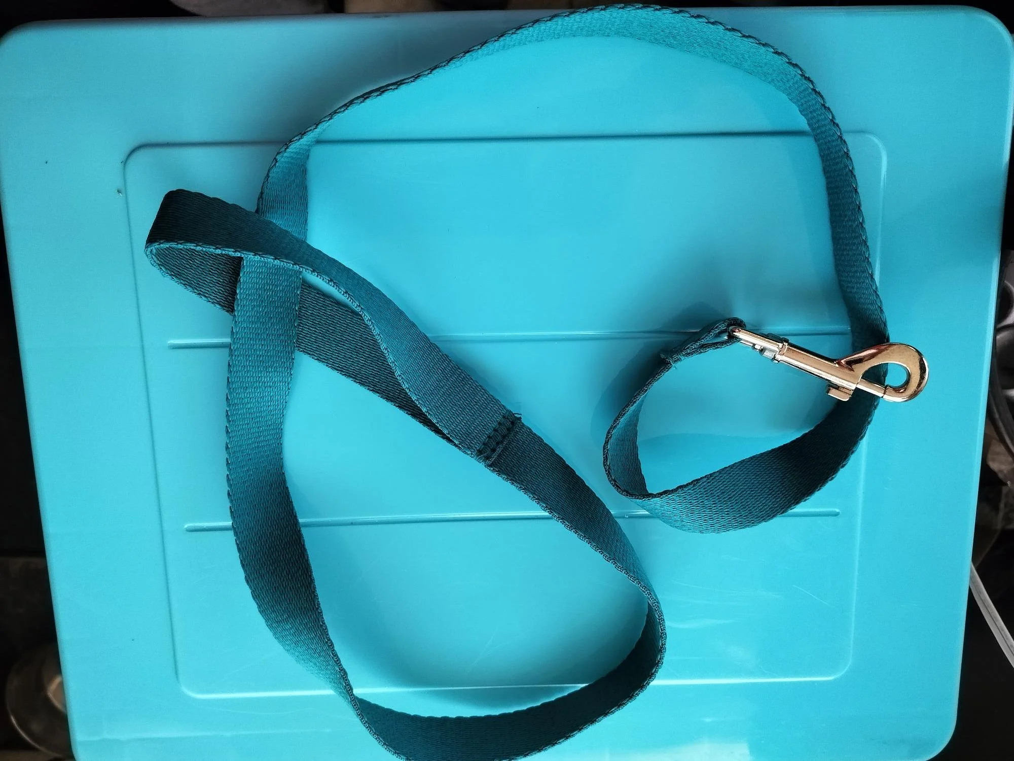 A regular leash can be turned into a slip lead to secure a dog with no collar or harness