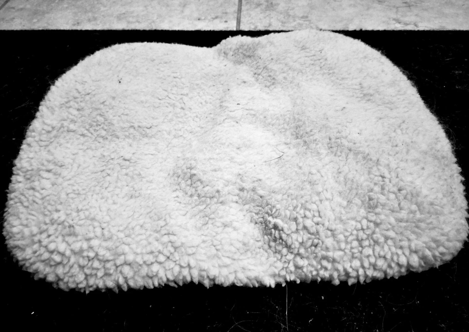 fuzzy warm cushioned mat for cats
