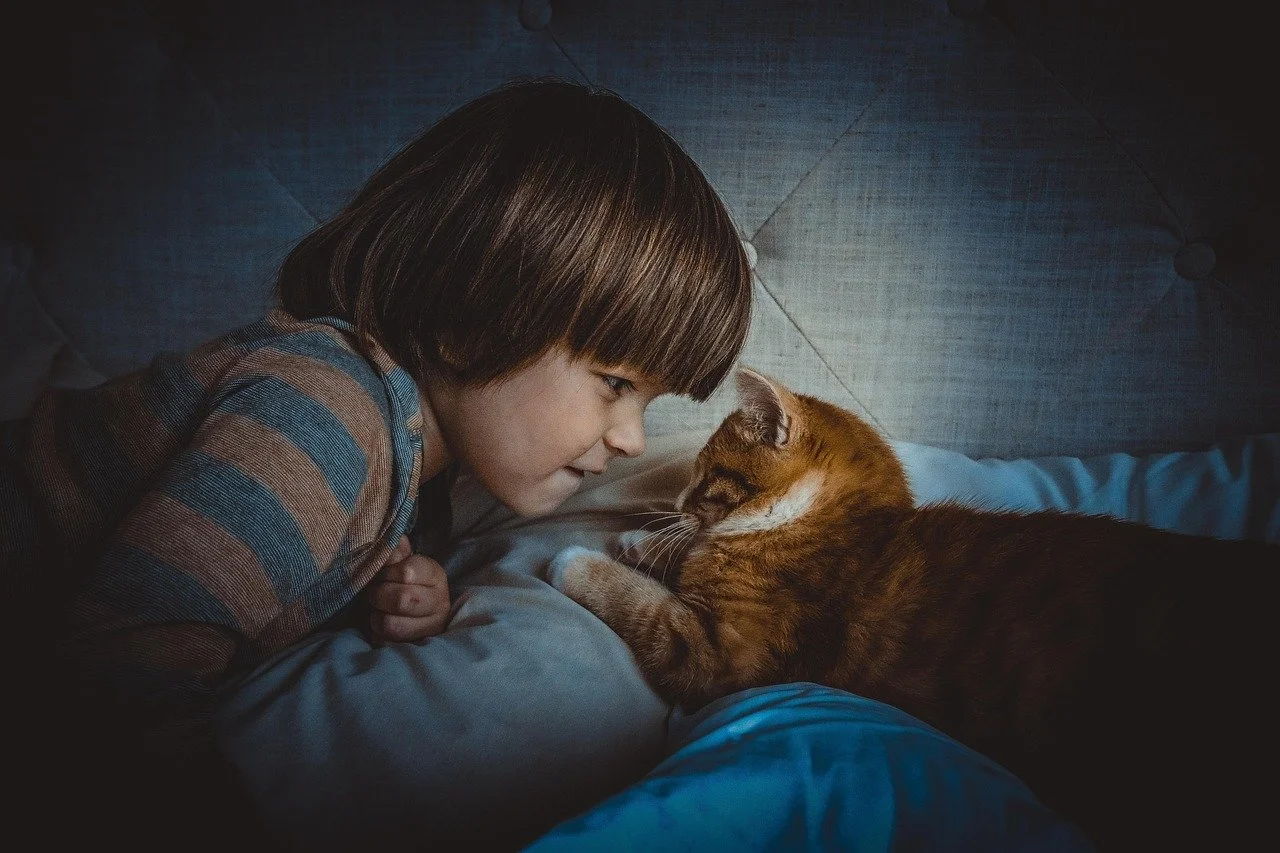 A young boy smiling and looking closely into the face of an orange tabby cat