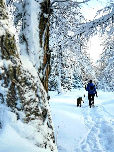 Woman walking a dog along a snow covered trail