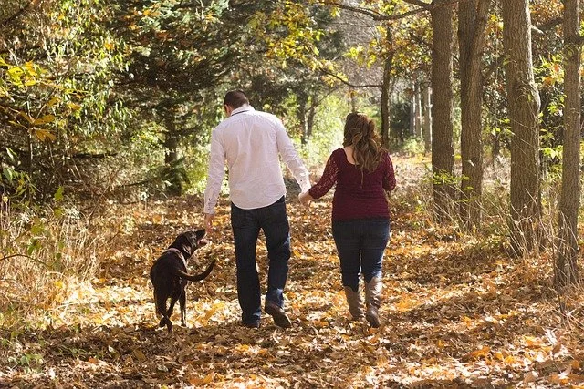 A couple holding hands while walking along a forest road with a black lab by the man's side