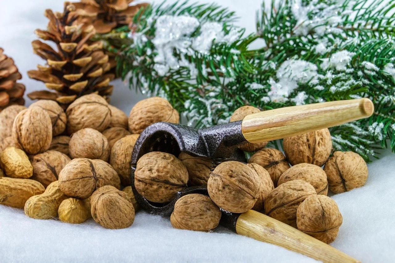 a nutcracker nestled amongst a pile of nuts with a background of a snowy pine branch