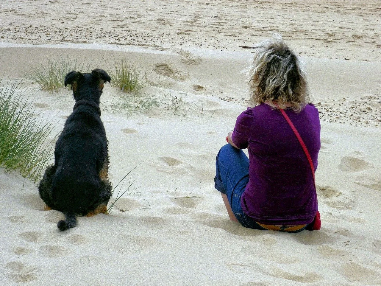 Back view of a woman and a dog sitting on a beach looking at the water
