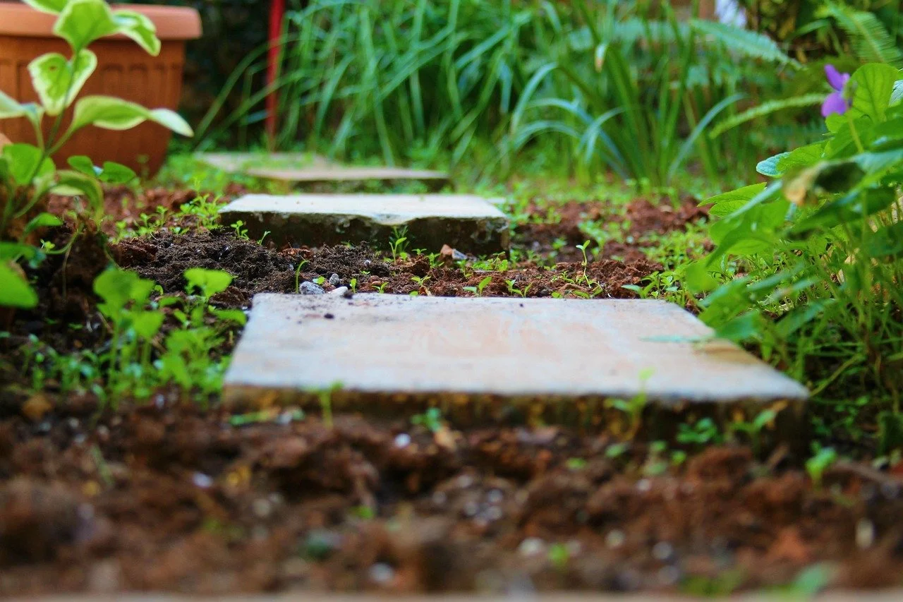 A mulched pathway with stepping stones meanders through a garden area