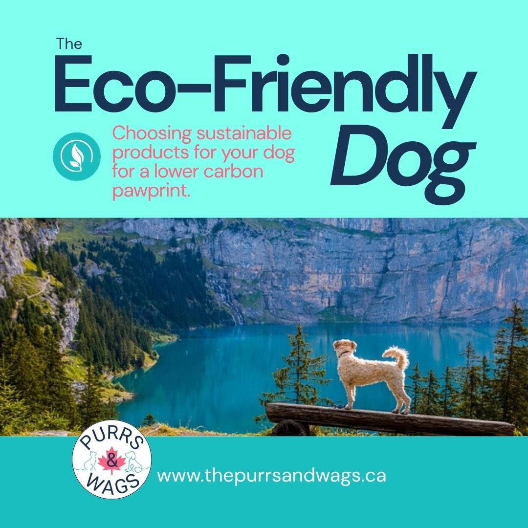 A dog stands on a log bench in front of a beautiful mountain lake. This is an advertisement for a related article about eco-friendly dog products.