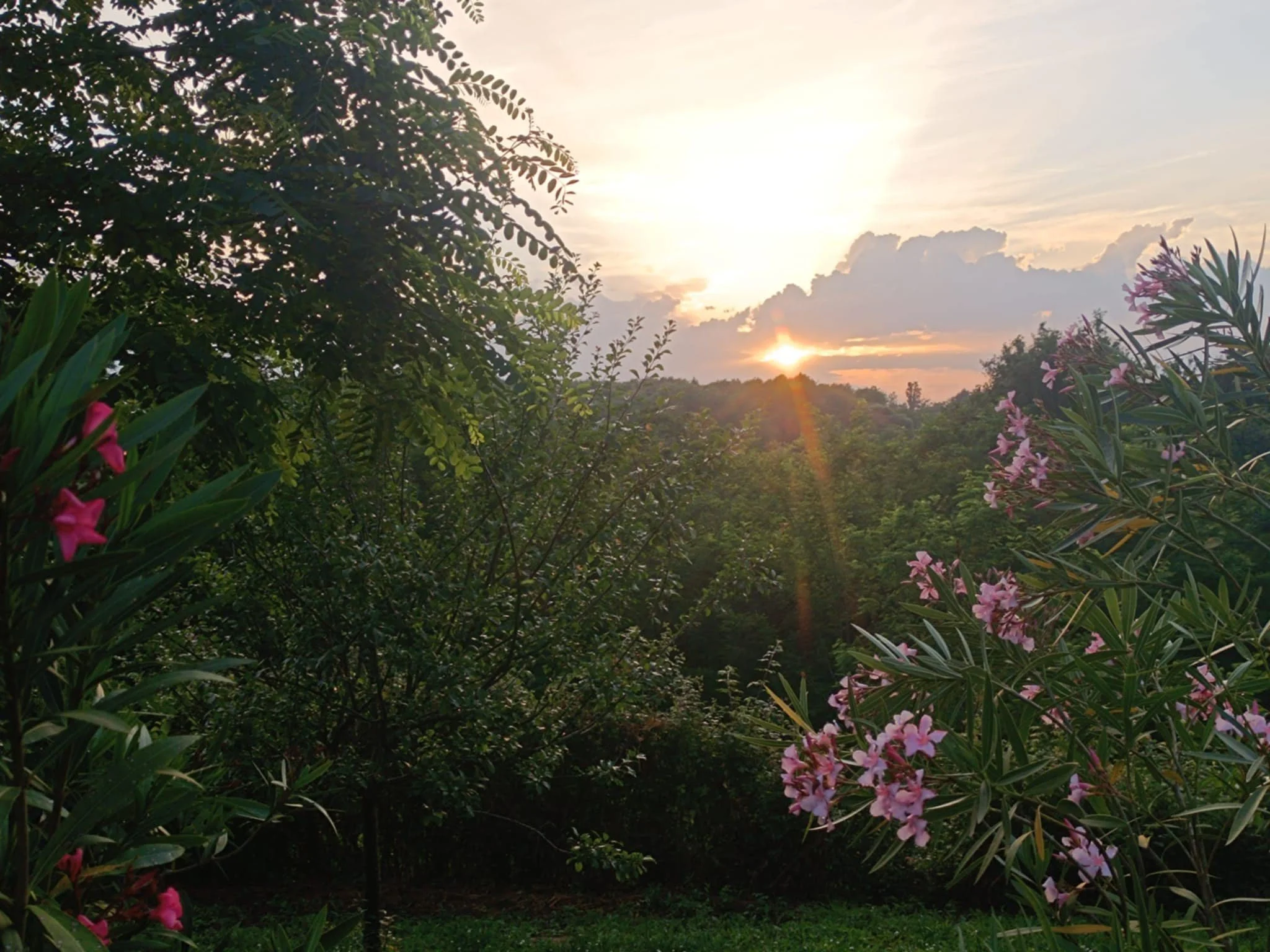 Retraite au coeur de l’eau, Guadeloupe