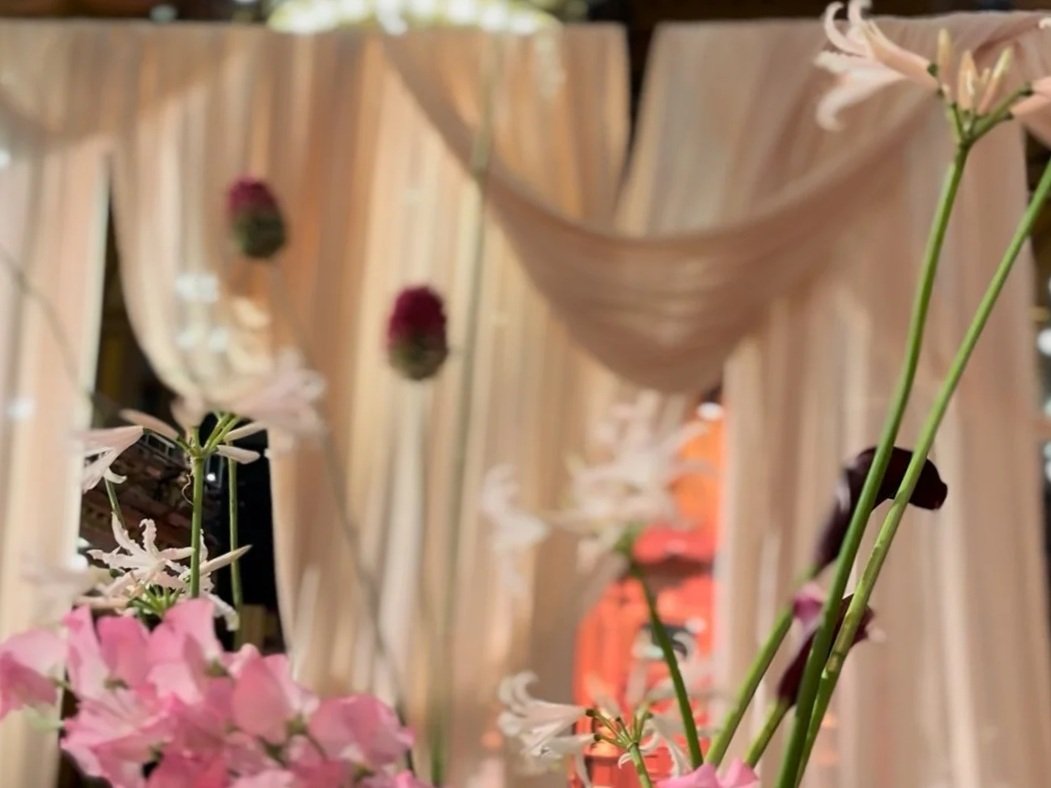 Close-up of pink and white flowers with sheer fabric draped in the background.