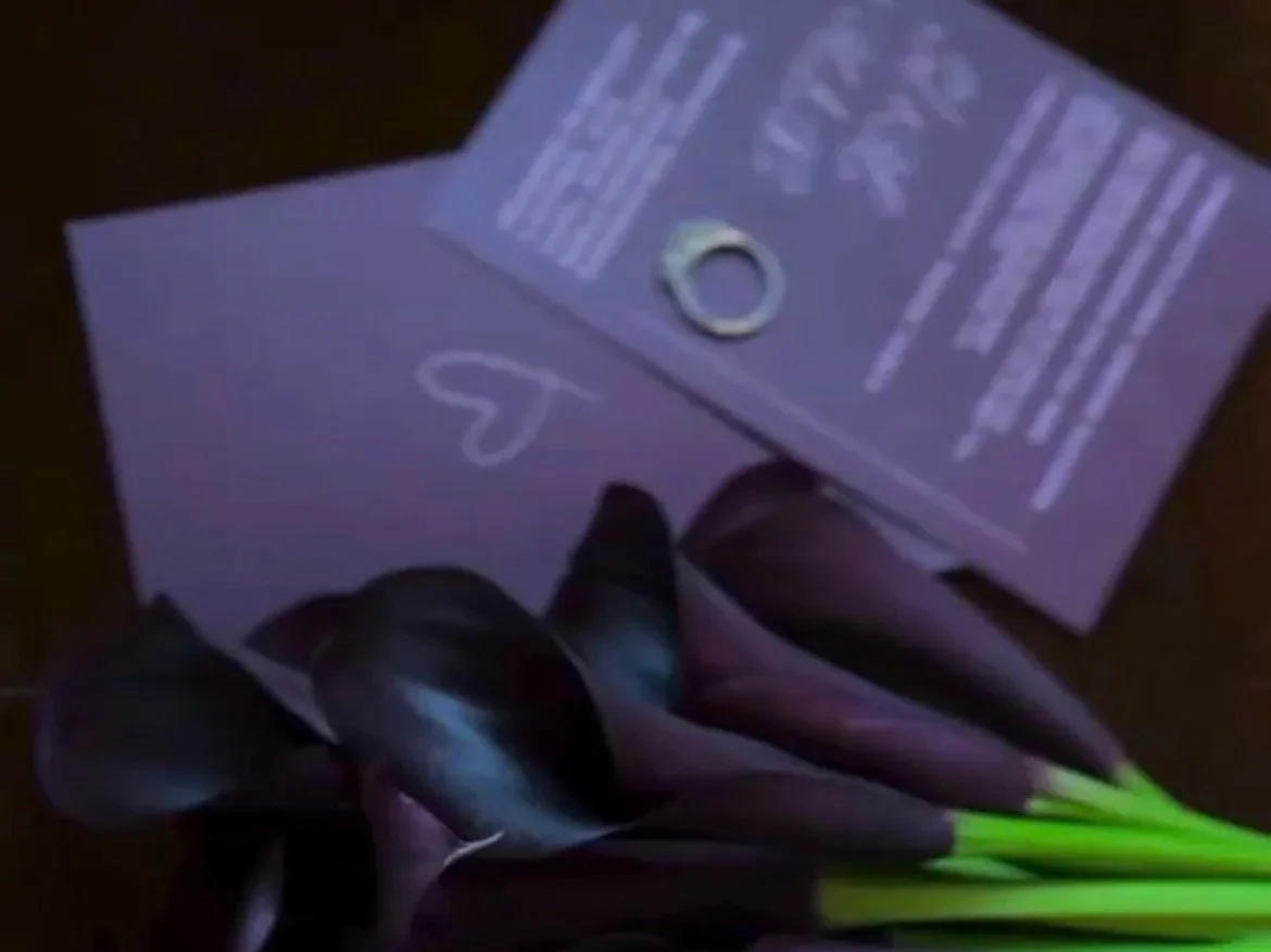 A bunch of dark purple calla lilies with green stems, a ring, and several pieces of paper with text, all illuminated under a dim, purple light.