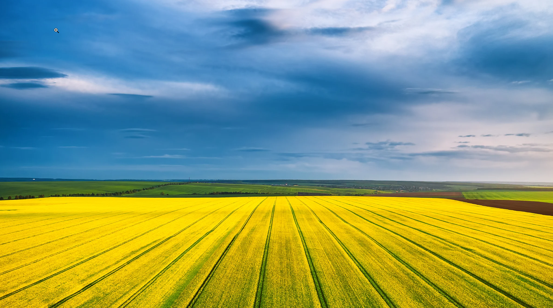 Passing the Torch — Selling Your Agriculture Business the Right Way