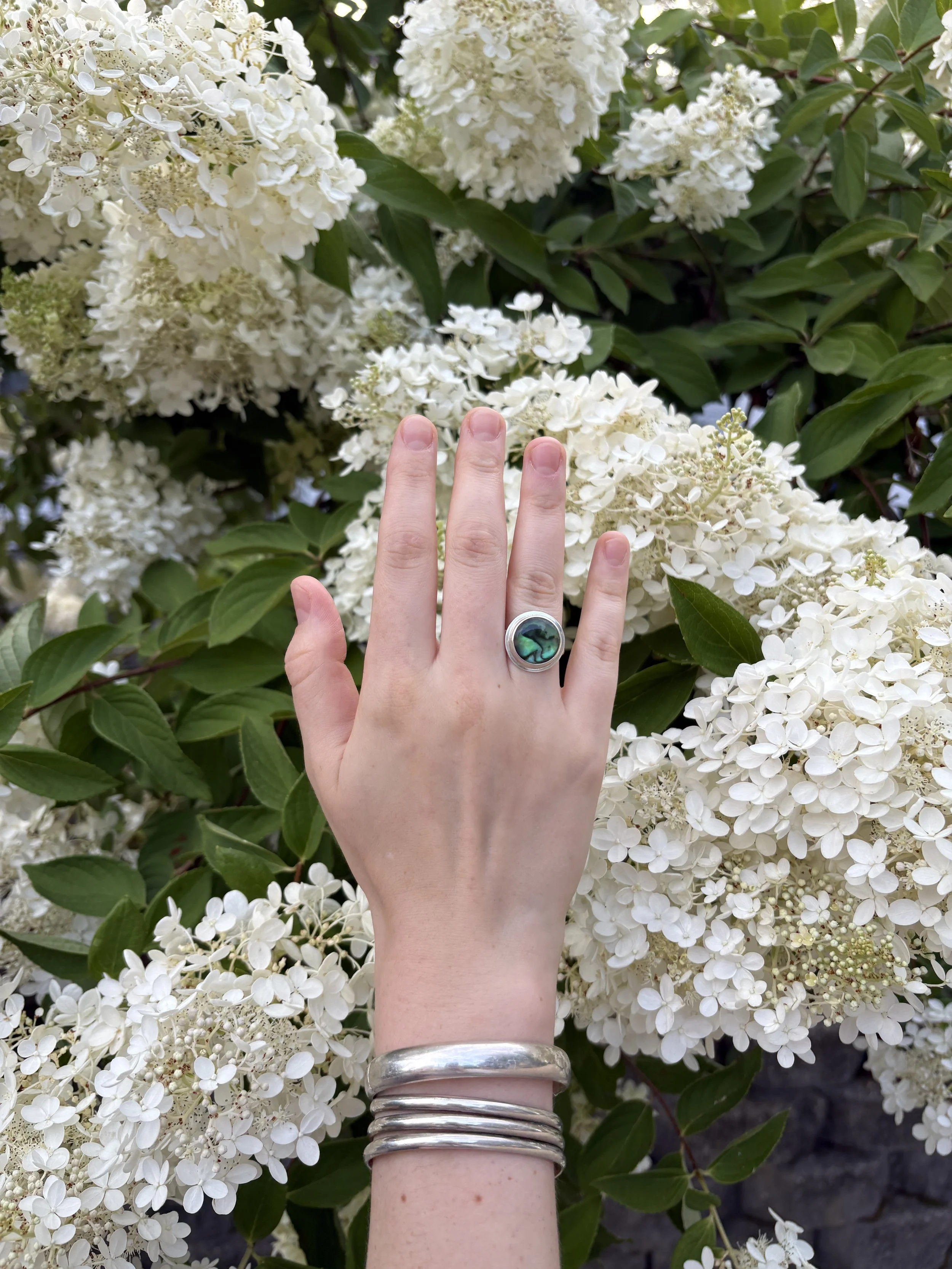 Paua ring