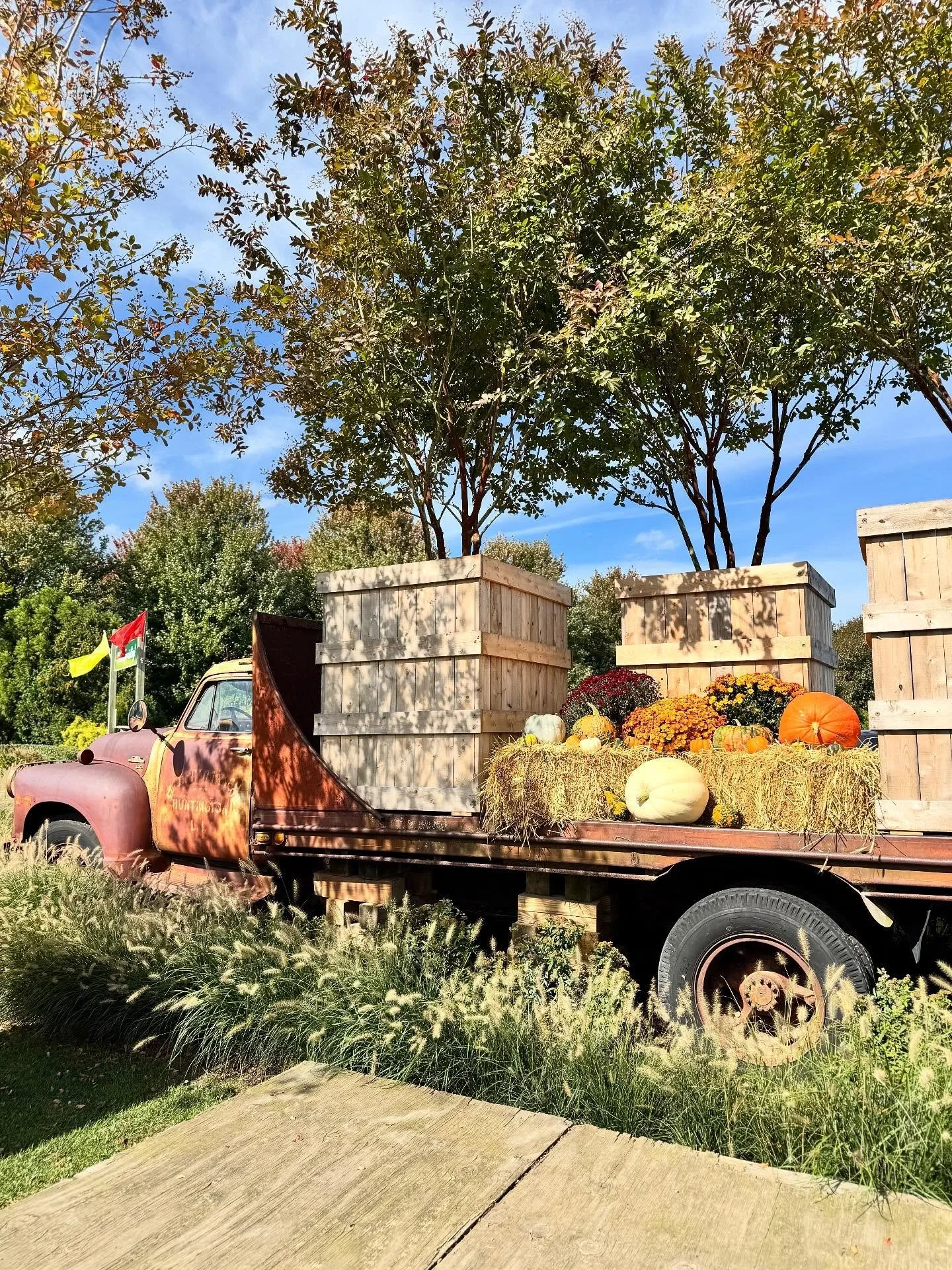 @harbesfarm fall vibes start now 🍂🍁 
Take a 10 min drive for baby farm animals, trampolines, ciders, 🌽 corn and a day of fall family fun!