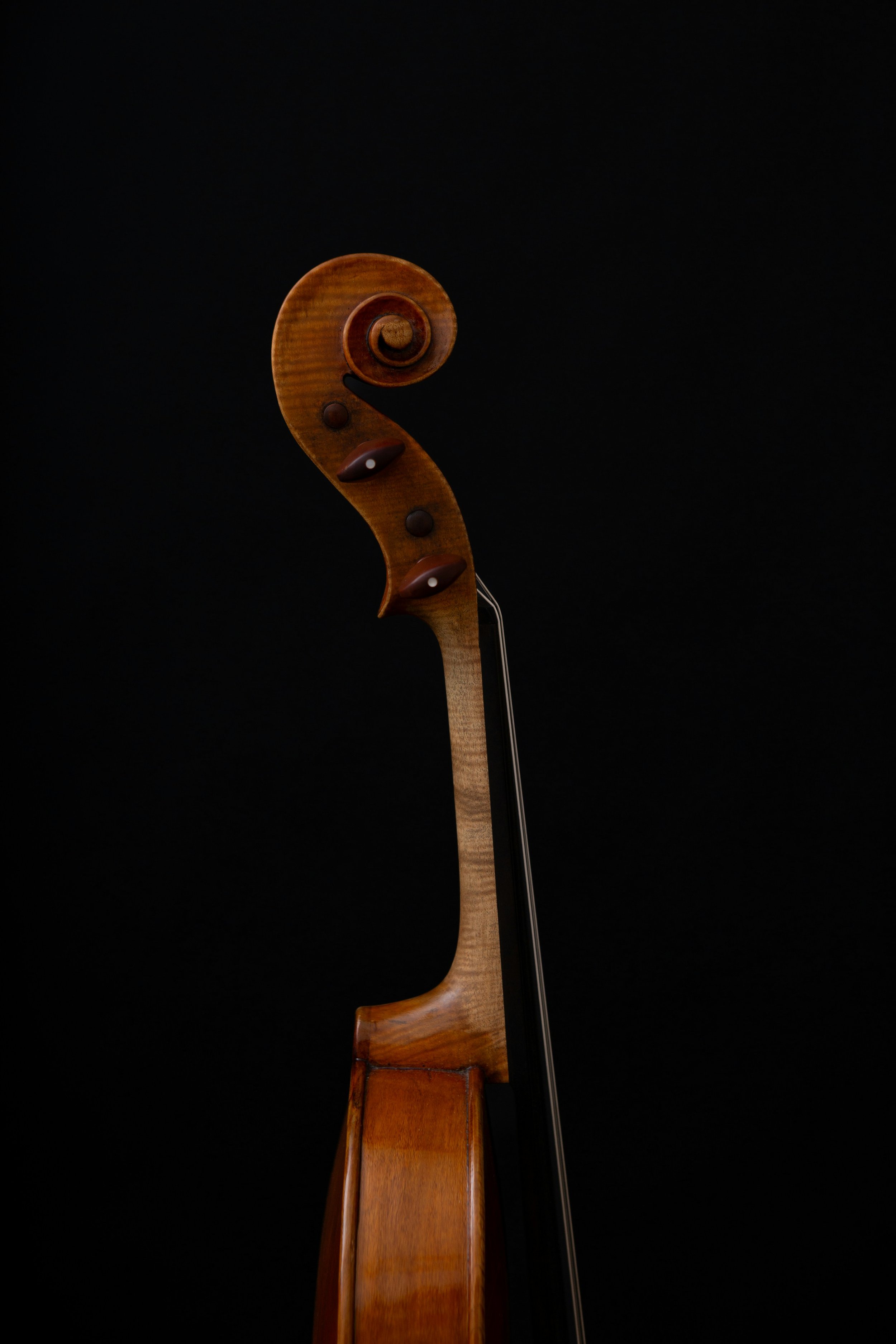 GMTA John Hunter Instrumental Scholarships