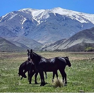 Mendoza entre Estâncias 