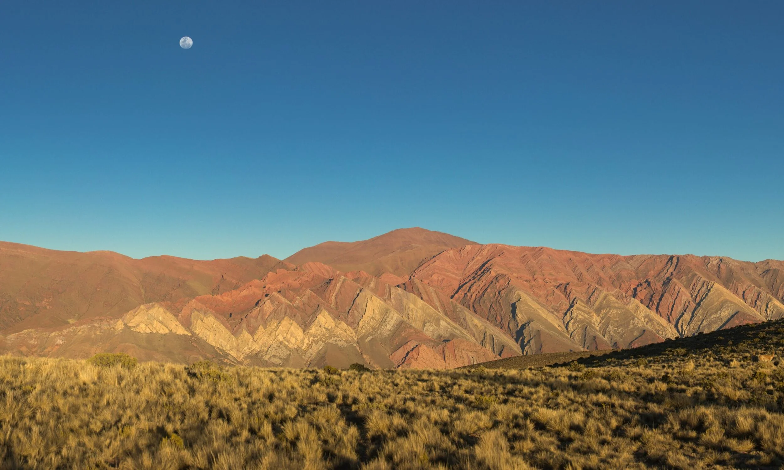 SALTA