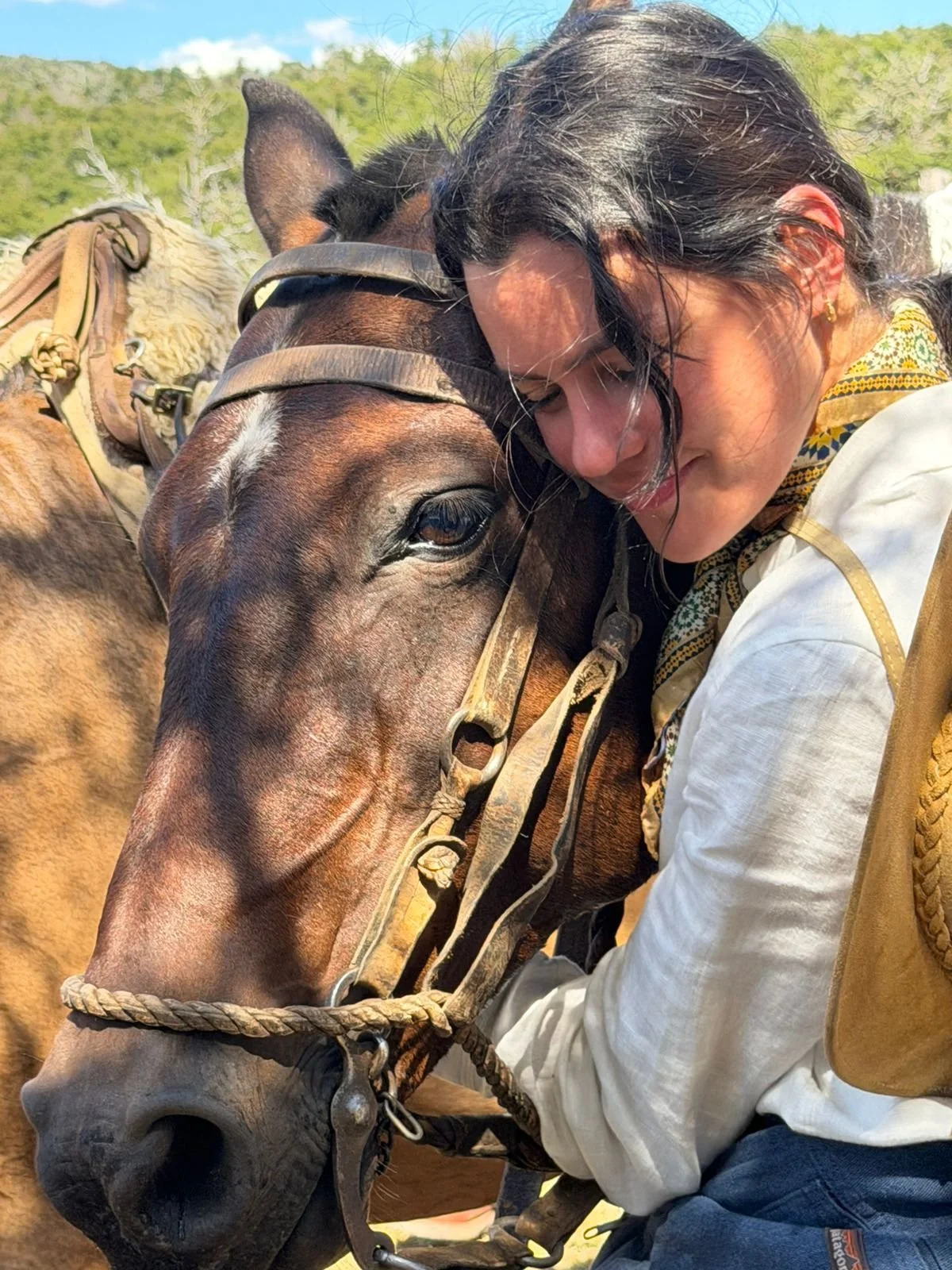 Tudo o que aprendi sobre Yoga com cavalos
