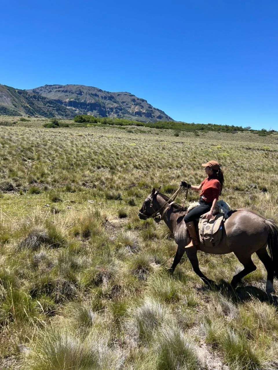 Patagônia a cavalo: quatro dias no ritmo da natureza
