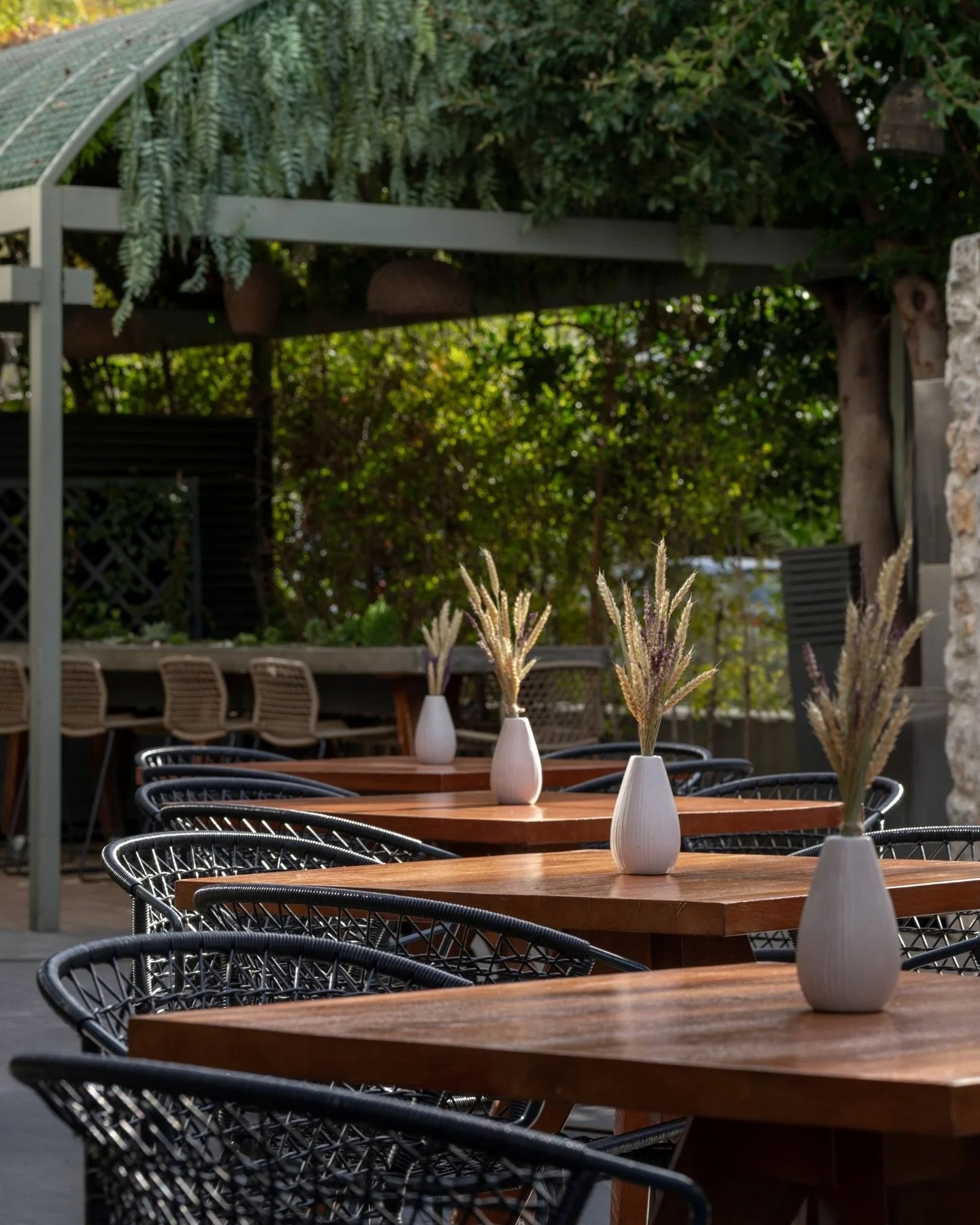 Sunlight through the trees, quiet conversations, and moments meant to slow down.

#blends #blendsglyfada #goldenhour