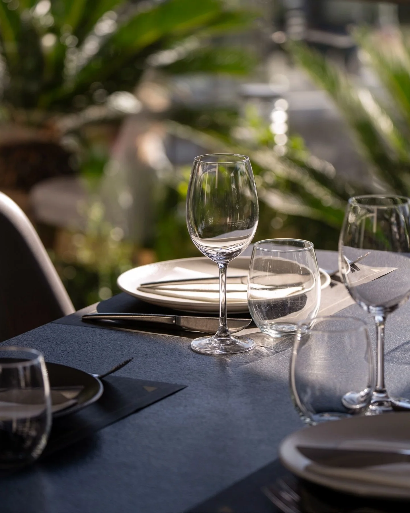 A glass waiting to be filled, flavors that awaken the senses, and stories that unfold quietly.

#blends #blendsglyfada