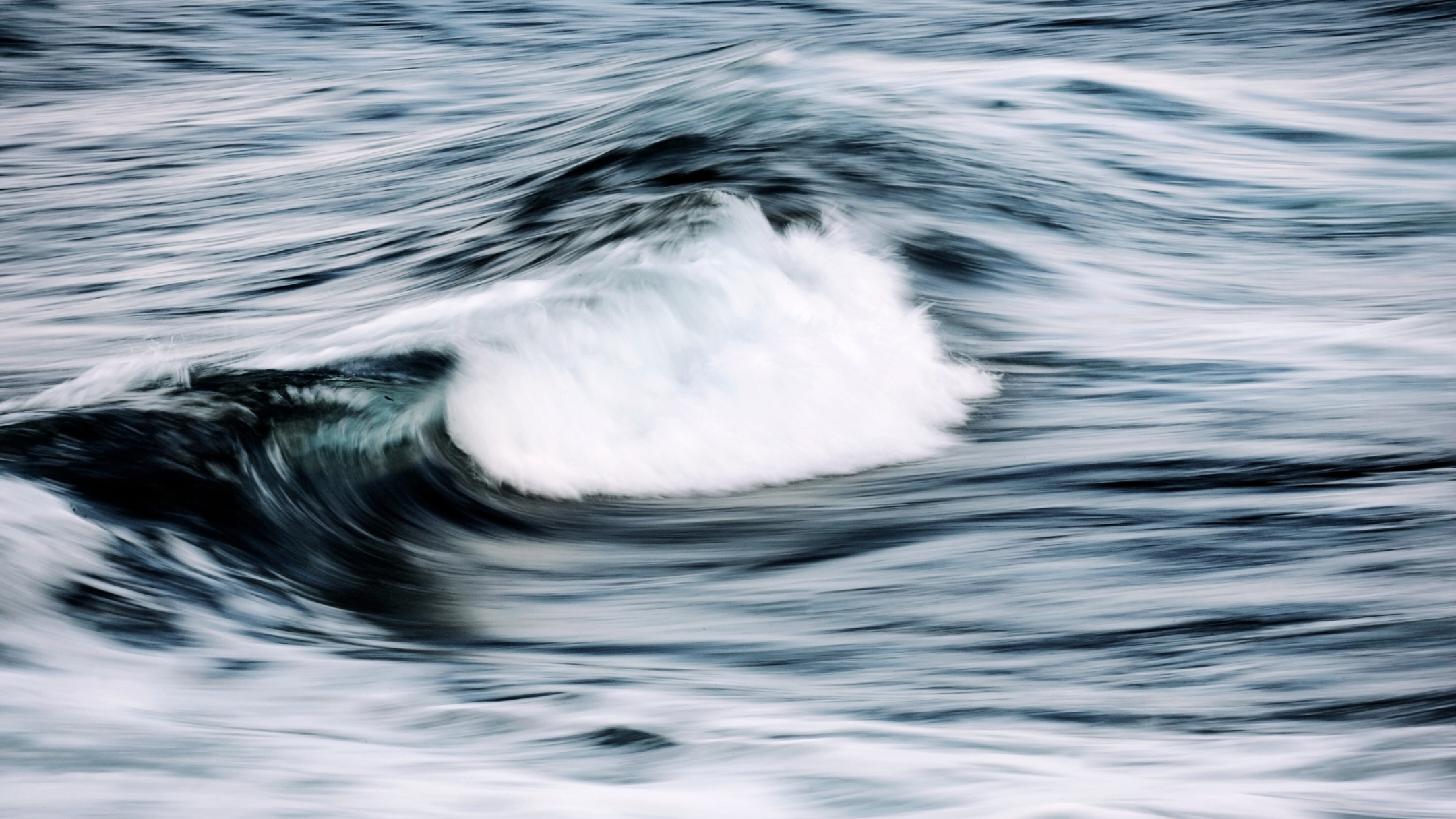 regenerative leadership
