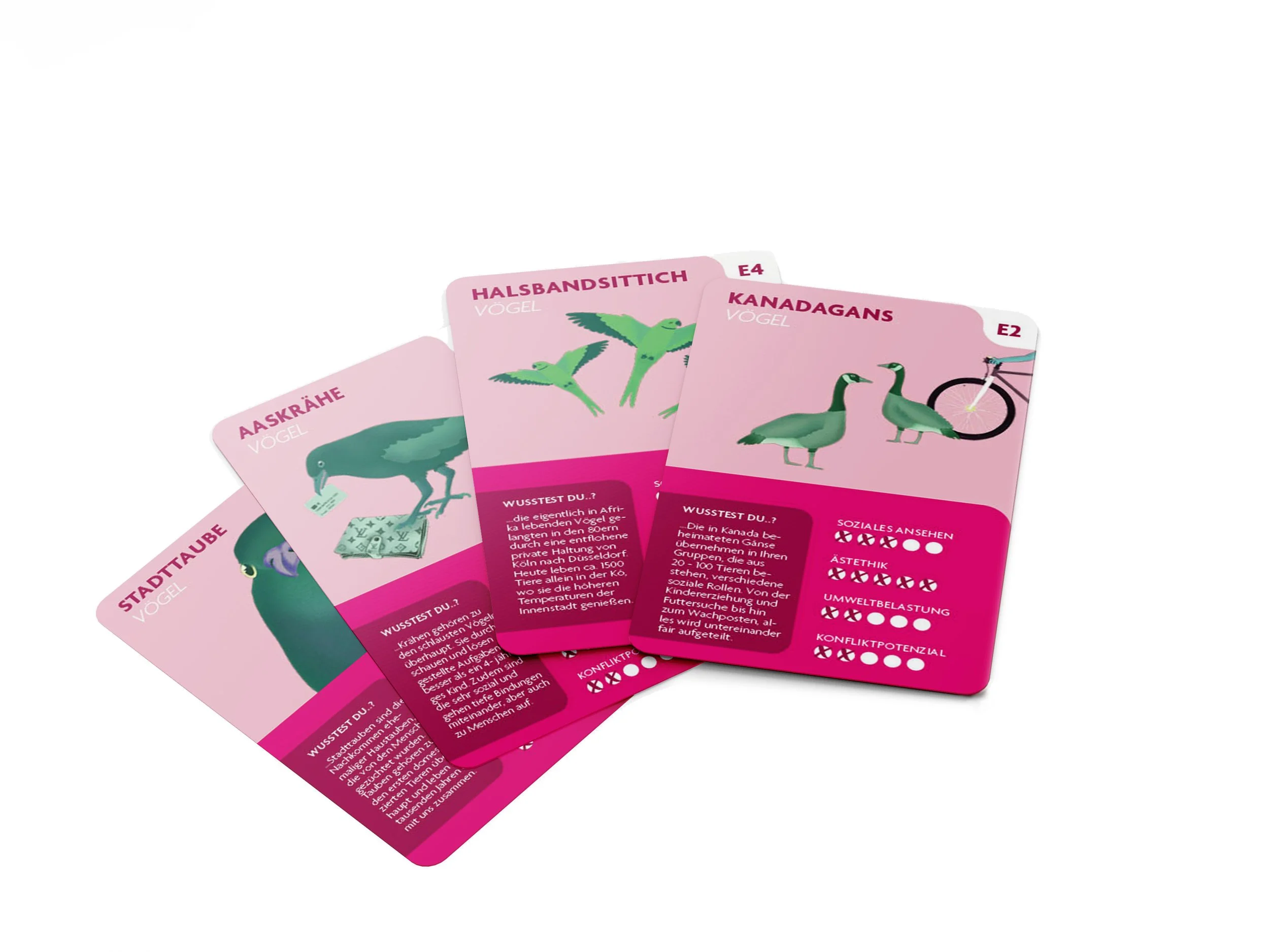 mock vier2 Kopie.jpg