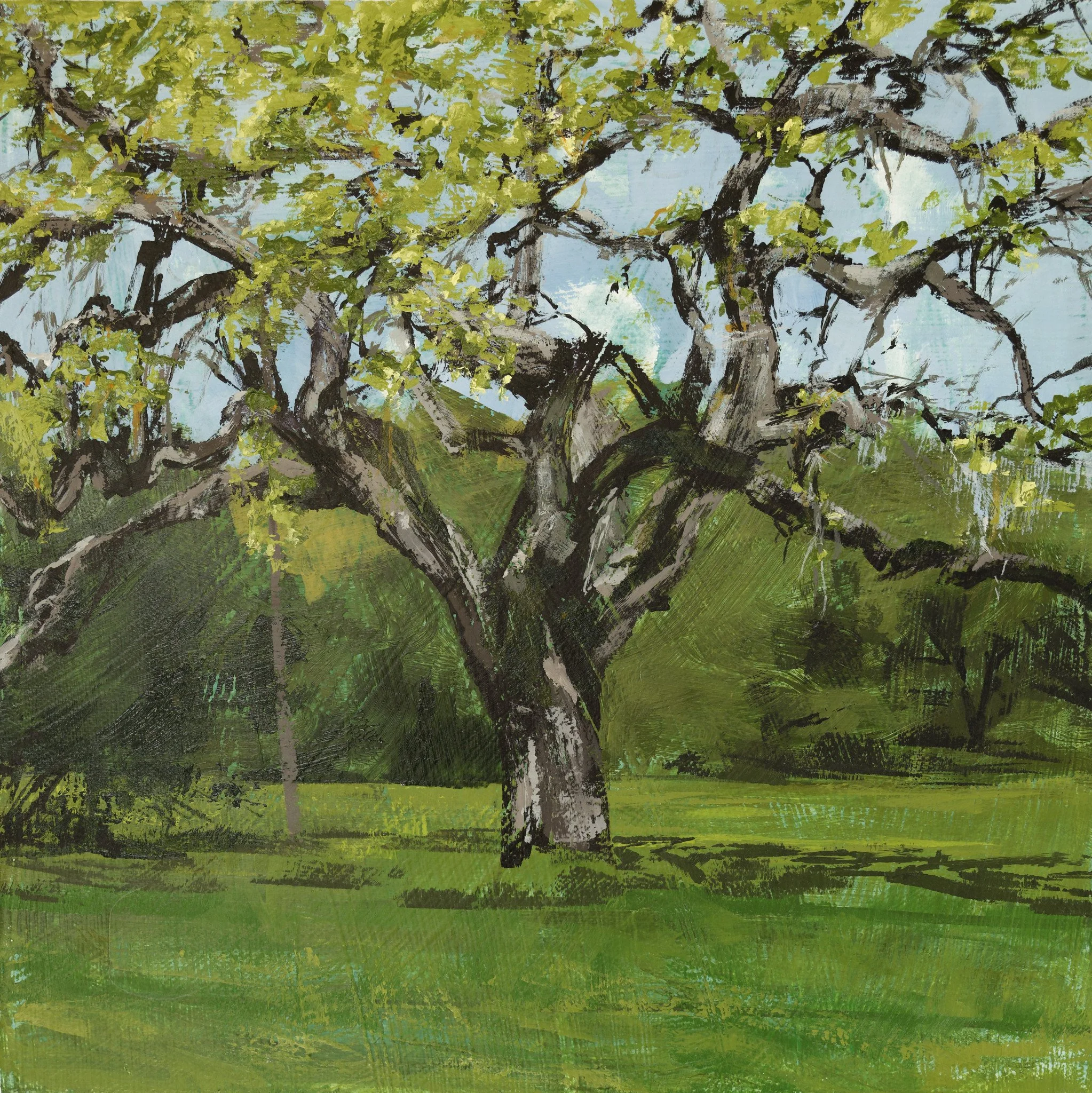 Ranch san antonio oak spring plein air_shop.jpg