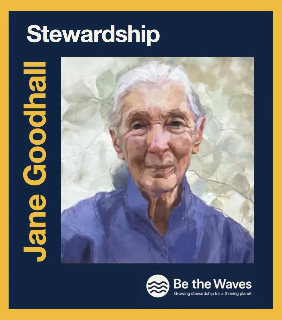 Jane Goodall – A Steward of Life and Connection