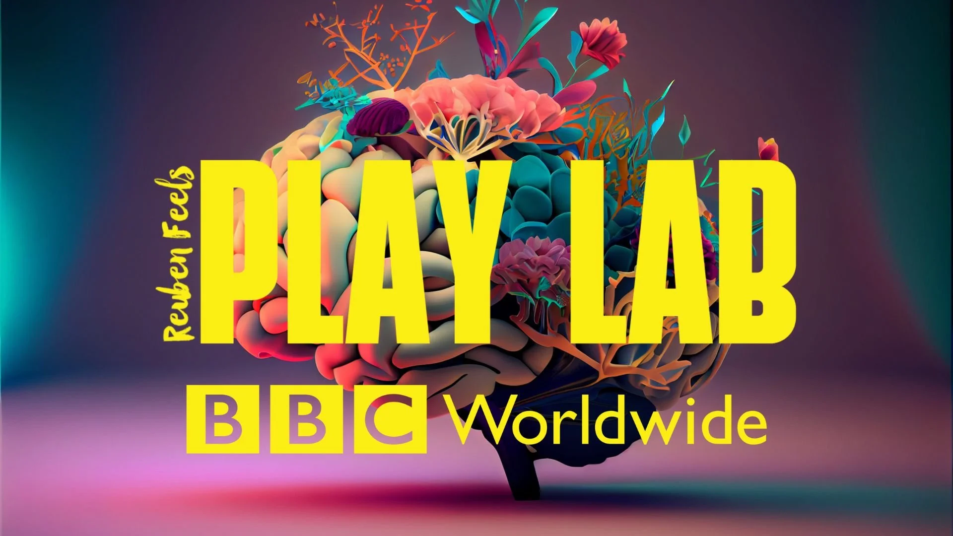 BBC WORLDWIDE video for website.jpg