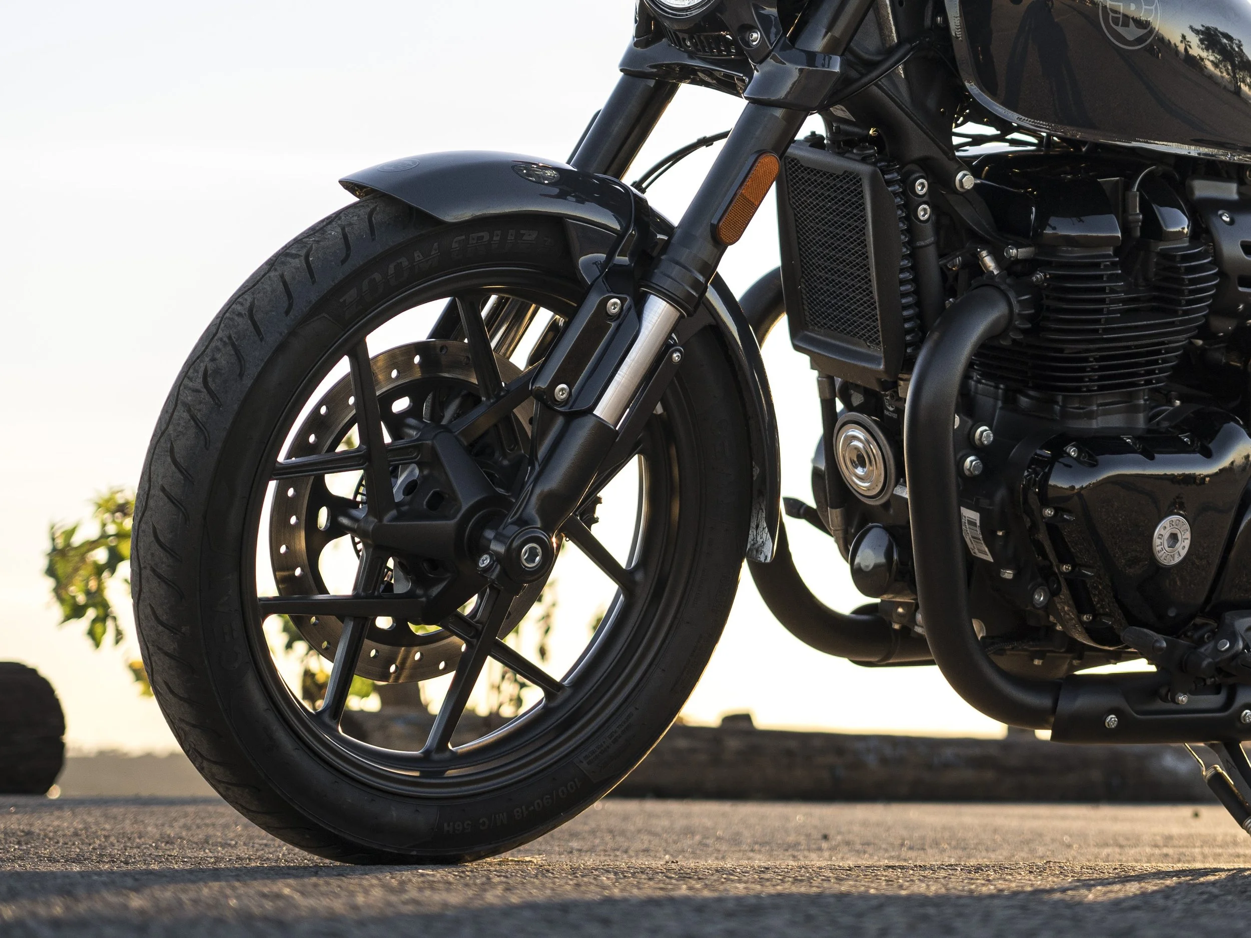 Shotgun_650 (90).JPG