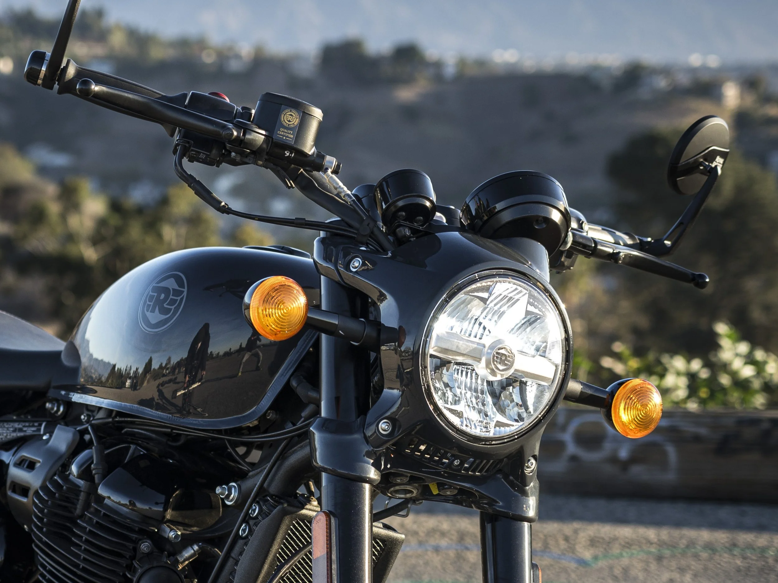 Shotgun_650 (87).JPG