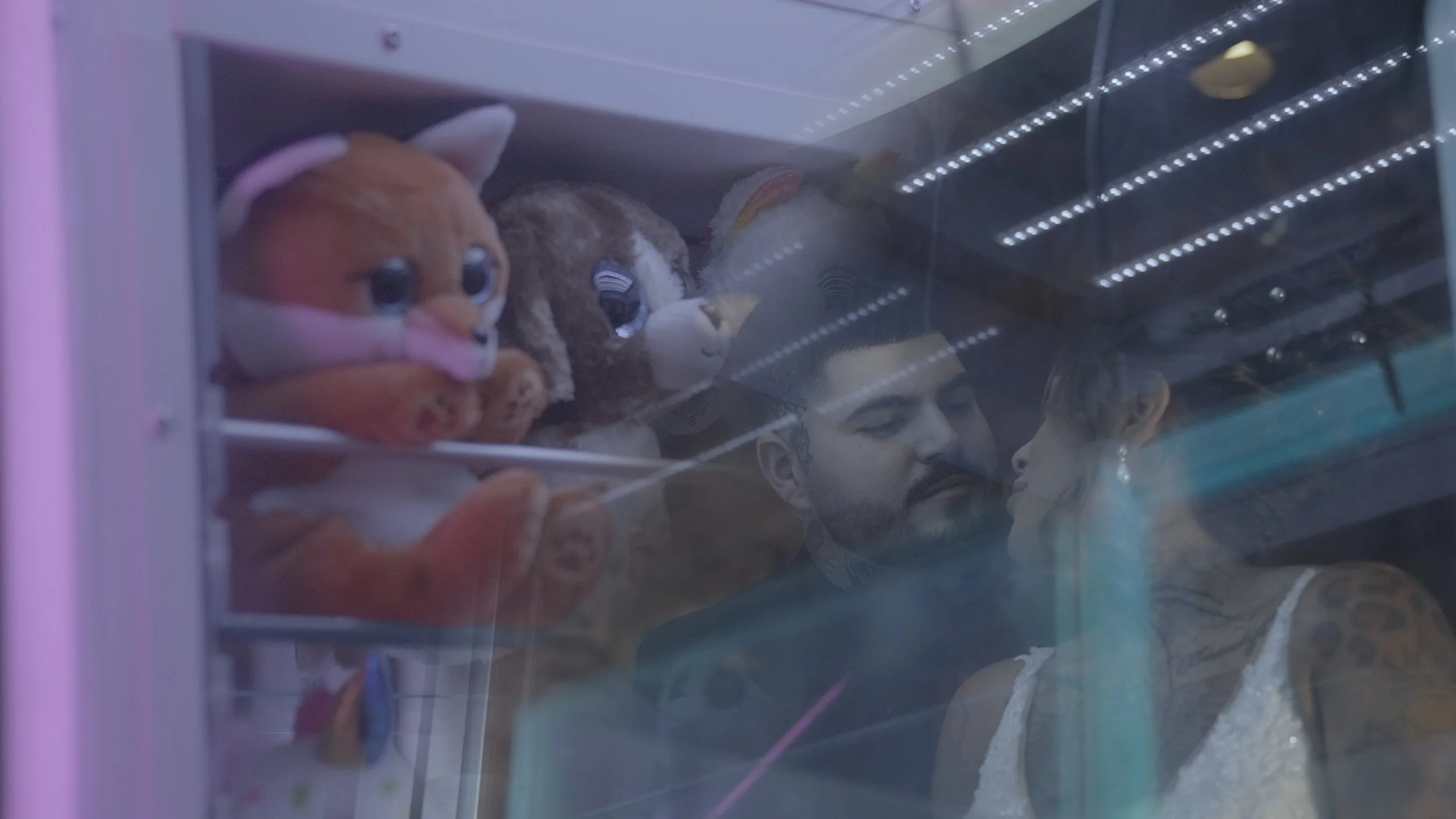 Still 2026-01-08 192028_1.210.1.jpg