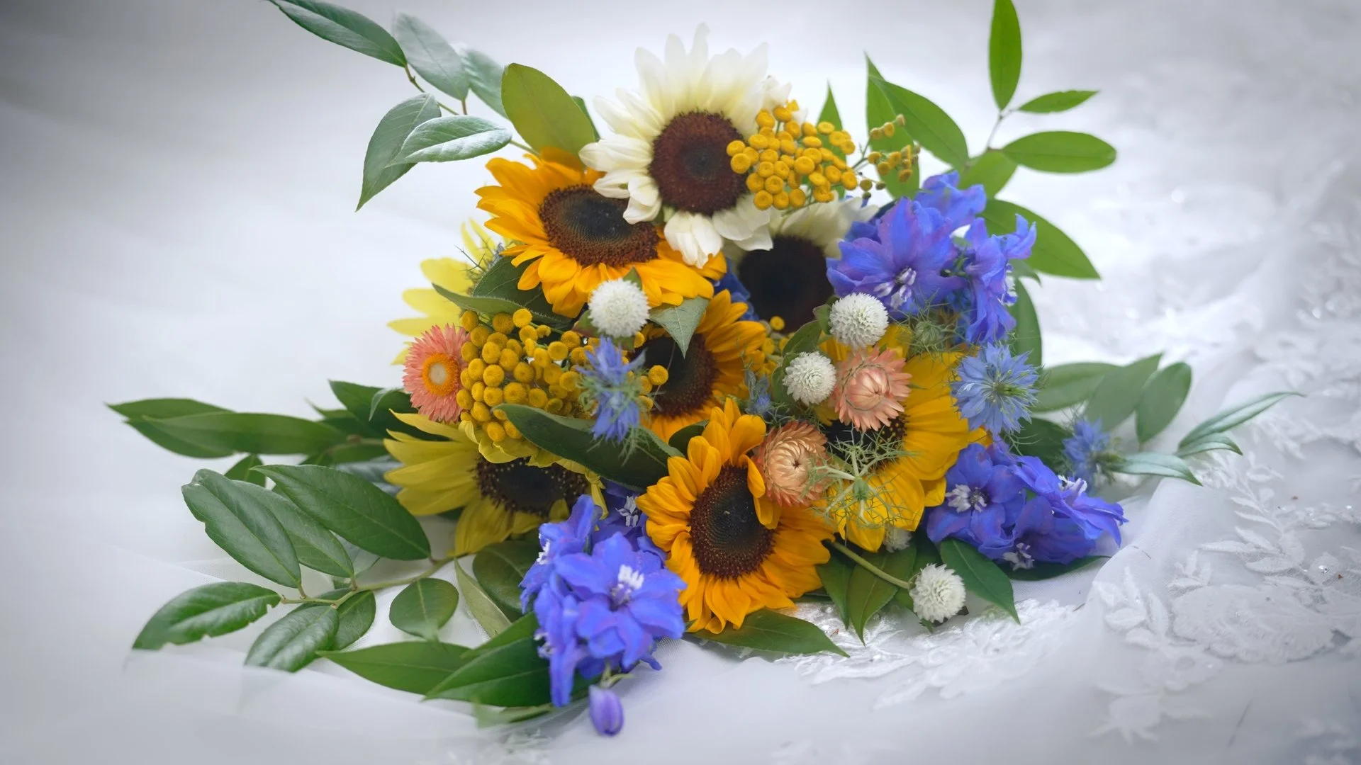 Still 2025-09-04 155604_1.22.1.jpg