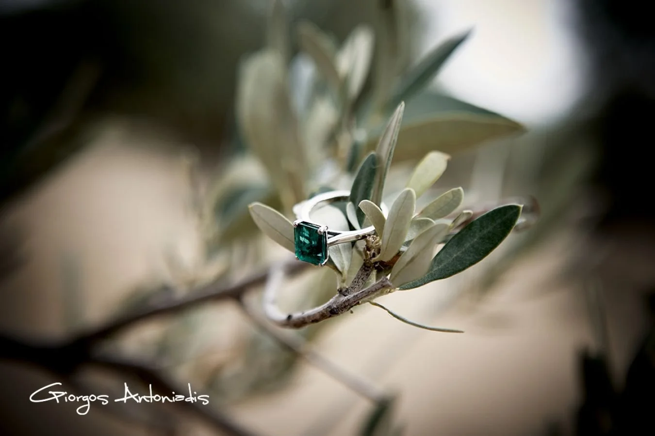 A silver ring with a large emerald-cut green gemstone, resting on an olive branch with green and silver leaves.
