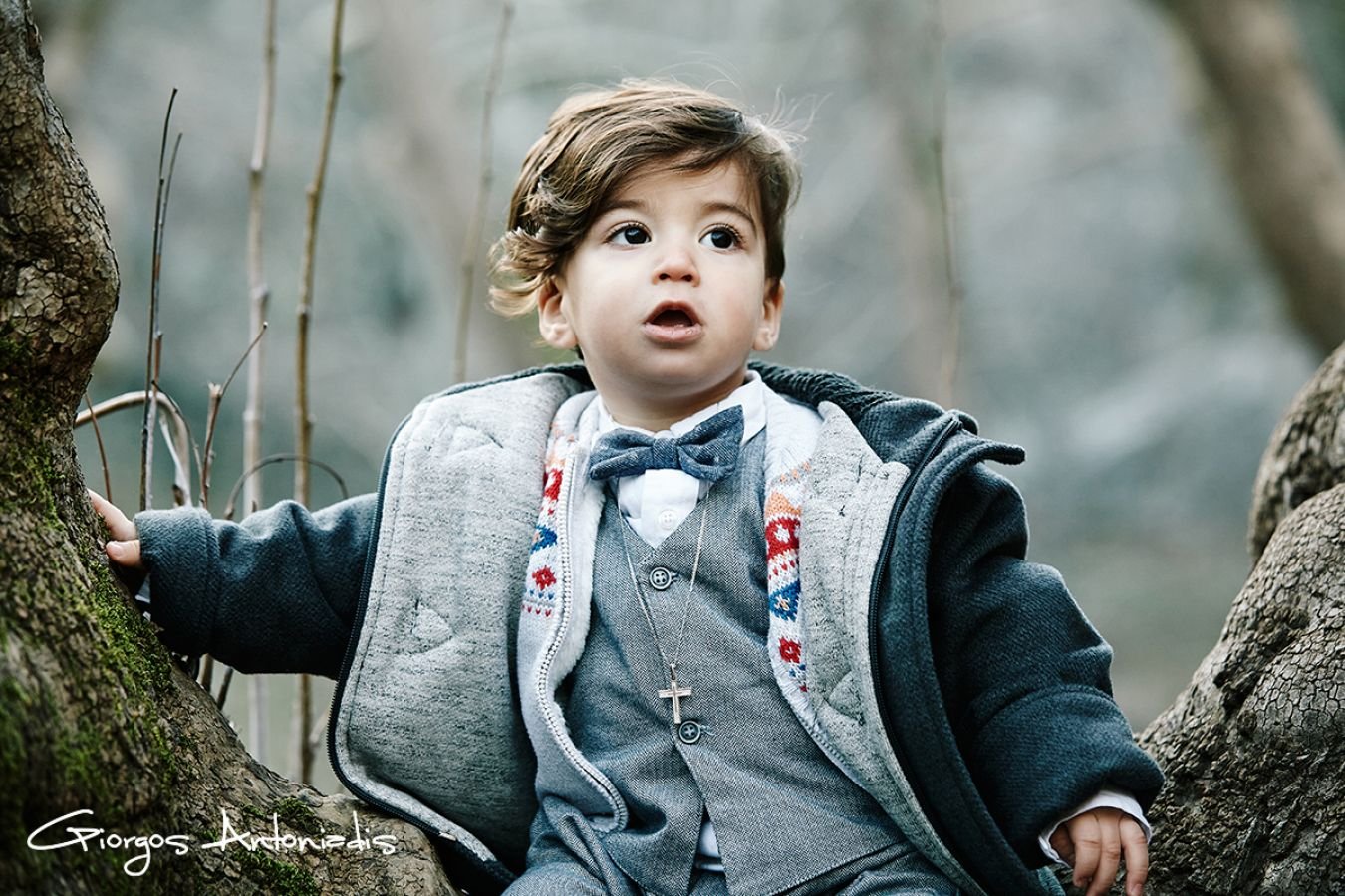 A young boy with brown hair, wearing a gray blazer, a blue bow tie, a necklace with a cross, and a gray sweater with colorful patterns, sitting among tree branches outdoors, looking surprised or curious.