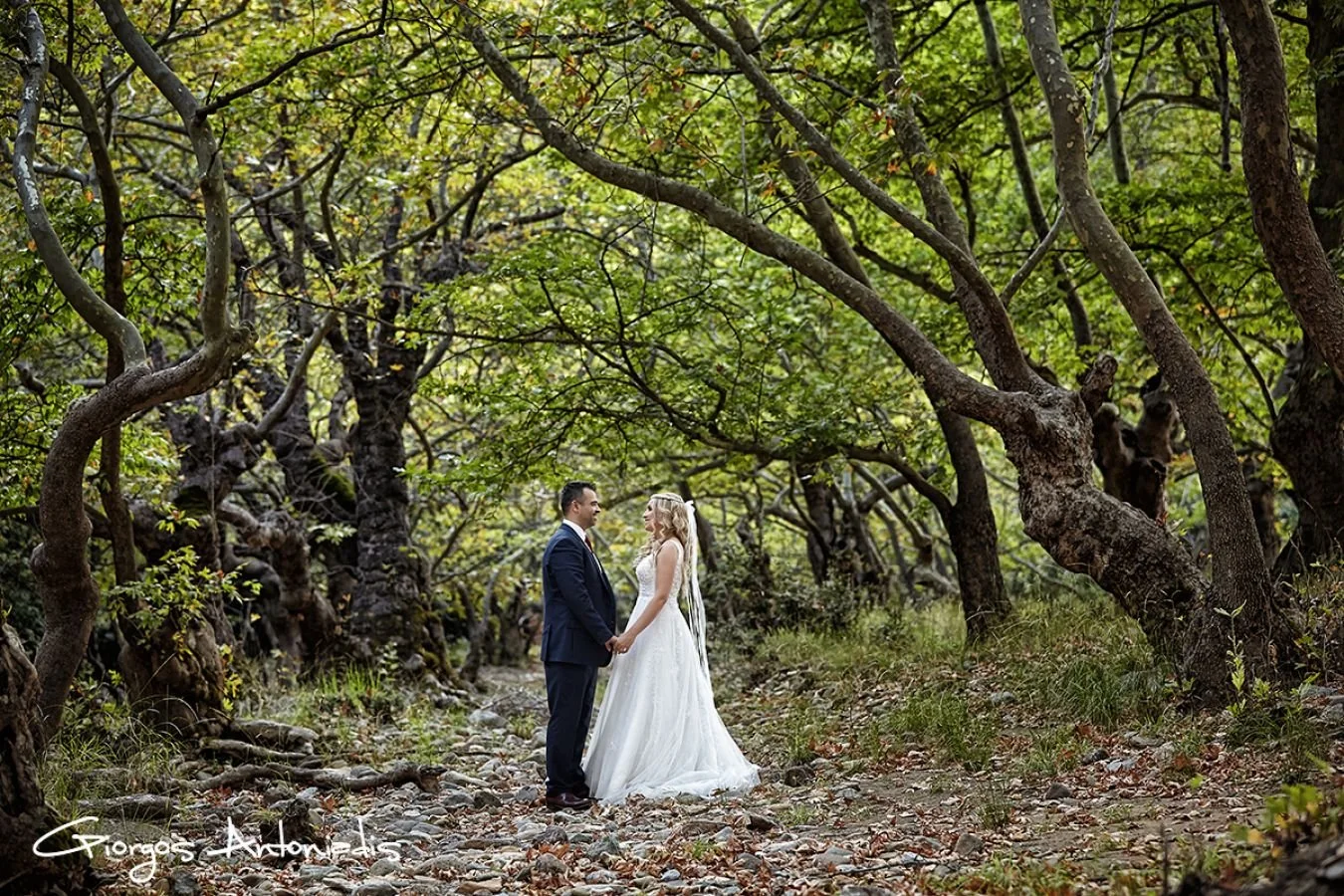 A bride and groom holding hands and facing each other in a forest with twisted trees and green foliage.