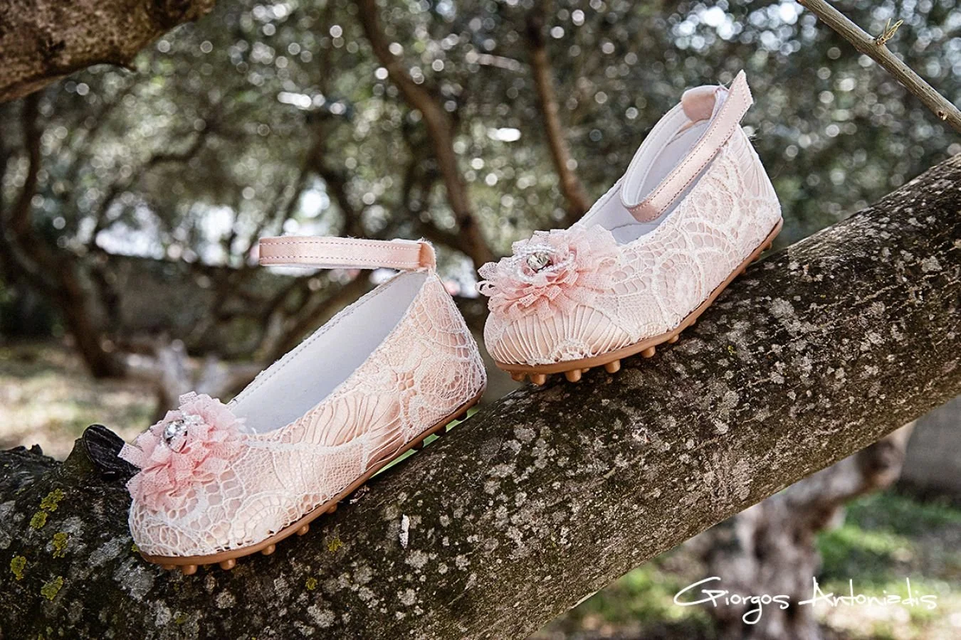 A pair of delicate, pink lace ballet flats with floral embellishments and small bows, placed on a tree branch outdoors.