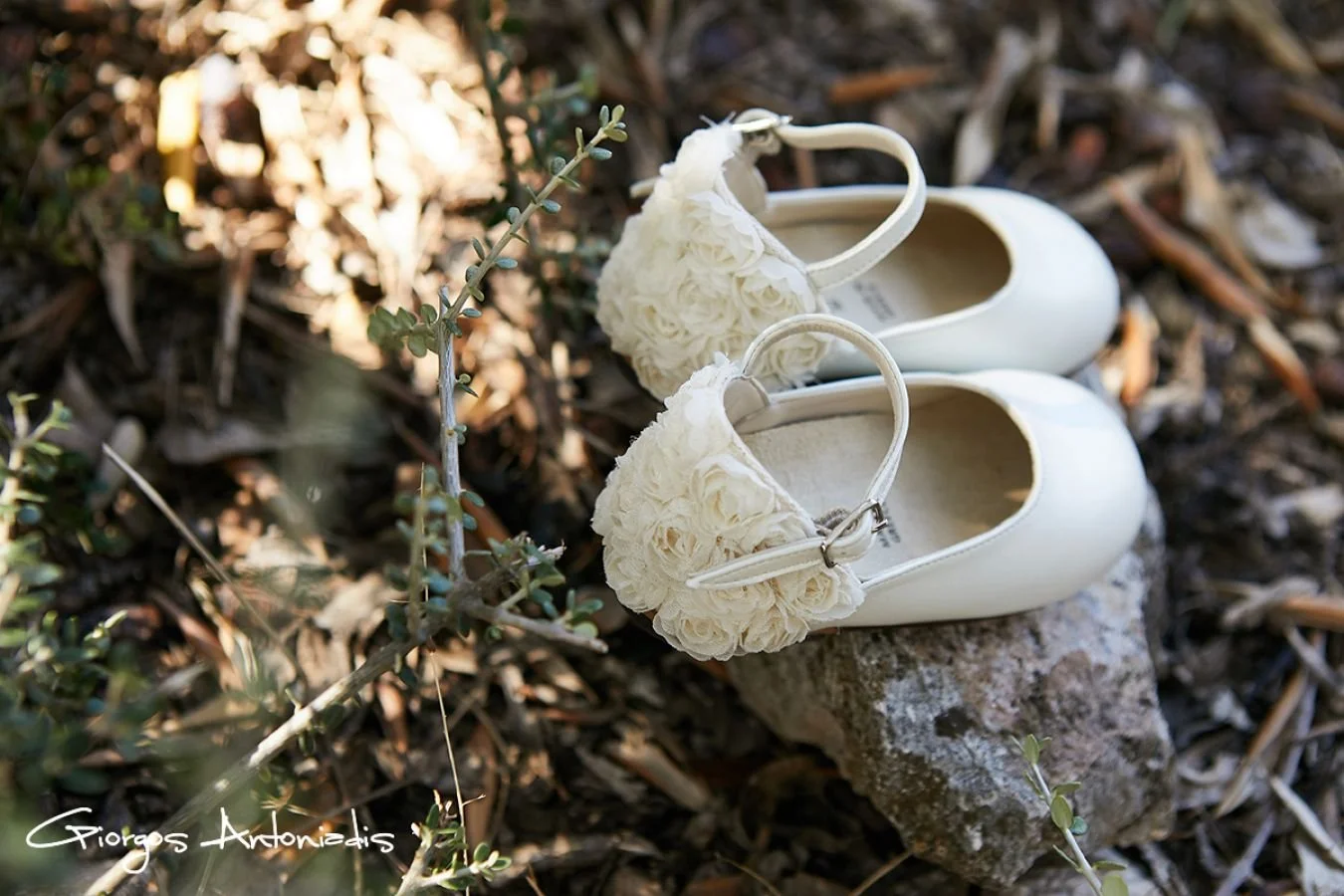 A pair of white shoes decorated with cream-colored flowers, resting on a rock among dry grass and small plants.