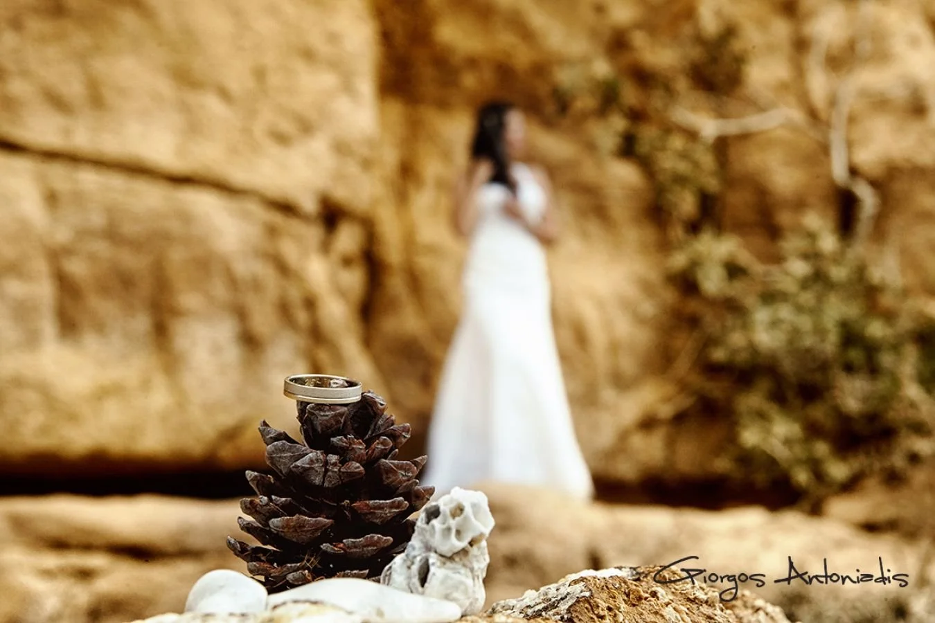 Wedding rings placed on a pine cone, with a blurred background of a woman in a white dress standing against a rocky wall.