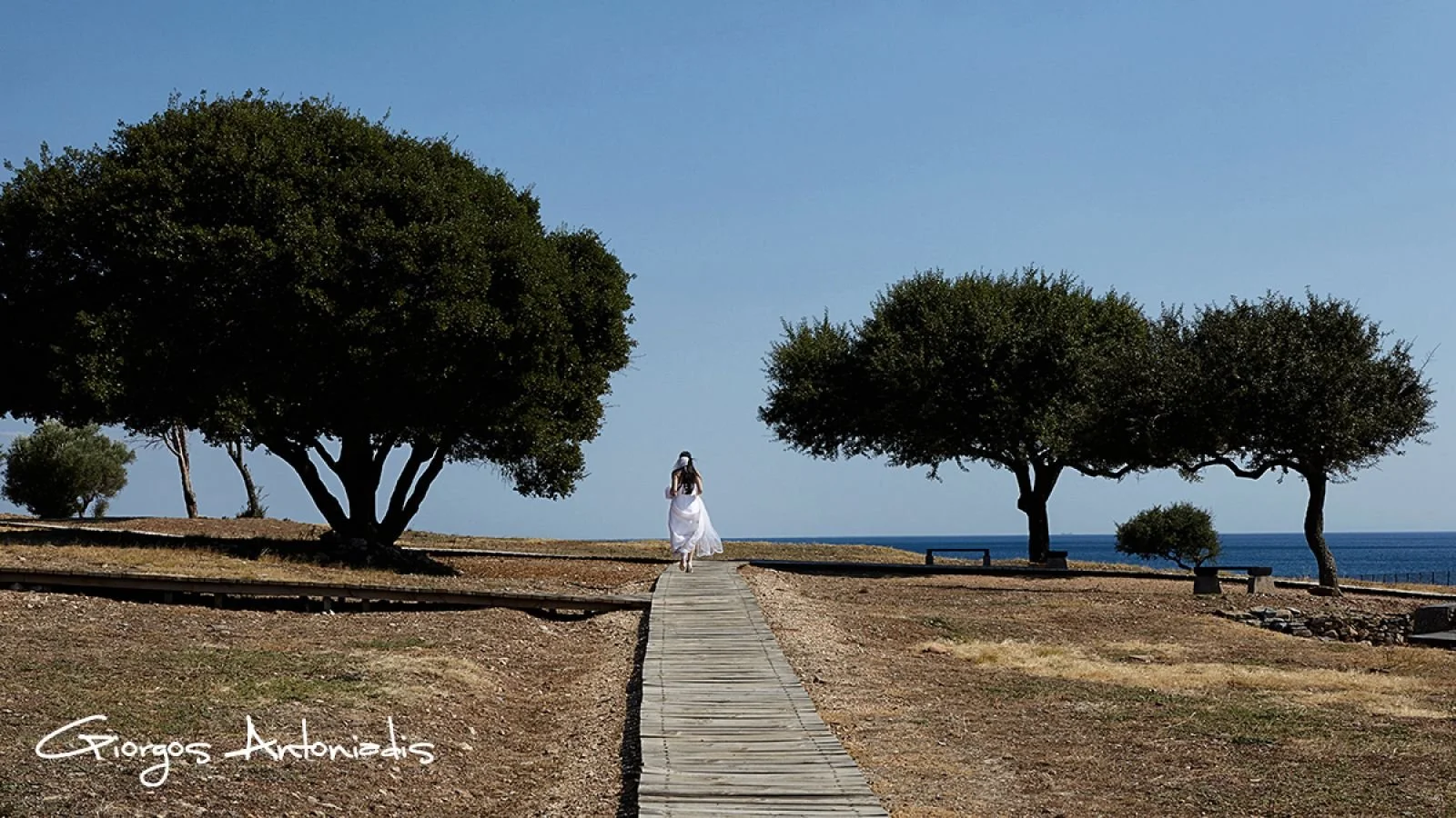 A woman in a white dress walking on a wooden path toward the ocean, with large trees on either side and a few smaller trees in the distance, under a clear blue sky.