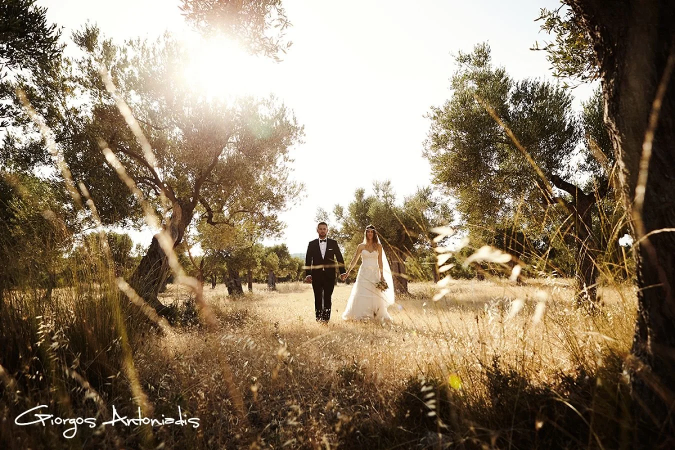 A bride and groom walking hand in hand through a sunny, wooded area with tall grass and trees.