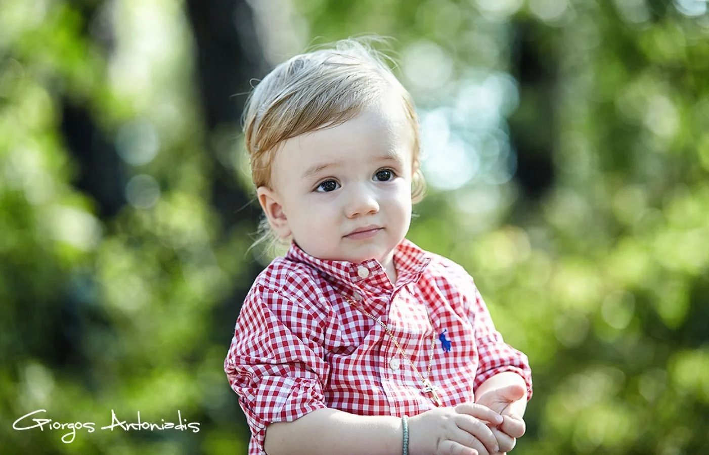 A young boy with blonde hair wearing a red and white checkered shirt standing outdoors with a blurred green background.