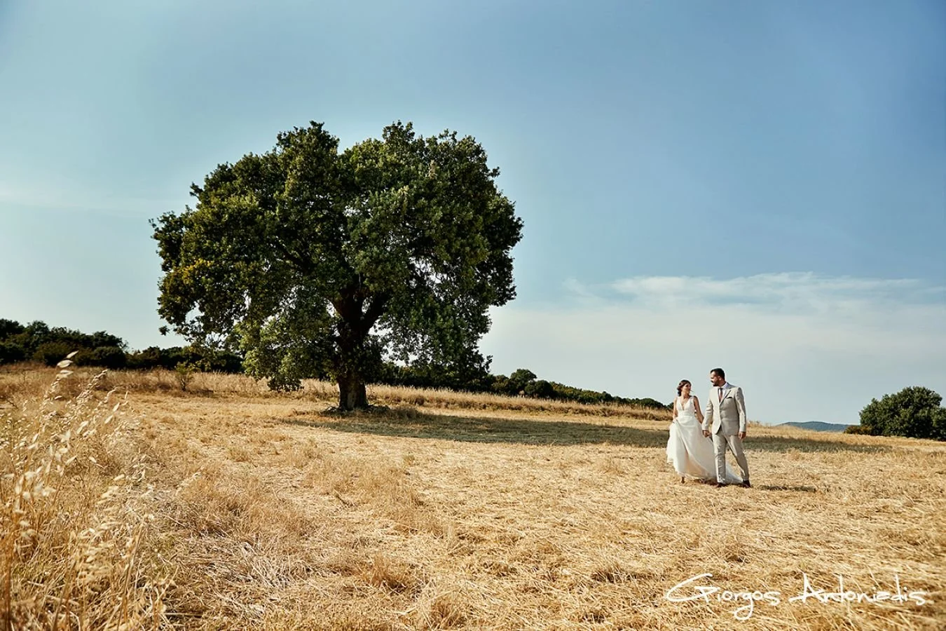 A bride and groom holding hands walk on dry grass in a field with a large green tree and a blue sky in the background.