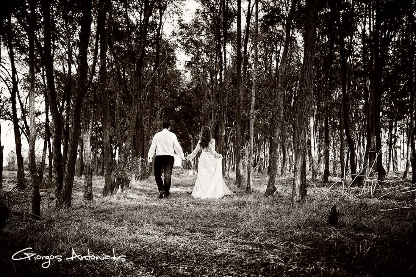 A black and white photograph of a couple walking hand in hand through a forested area, with tall trees on both sides forming a natural pathway, and the woman wearing a long, flowing dress.