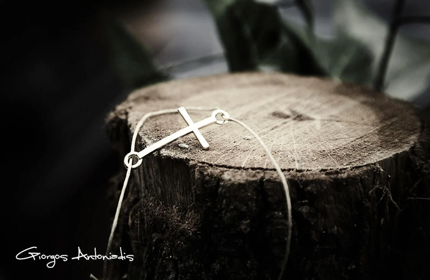 A silver necklace with a cross pendant resting on a cut tree trunk, with blurred green leaves in the background.