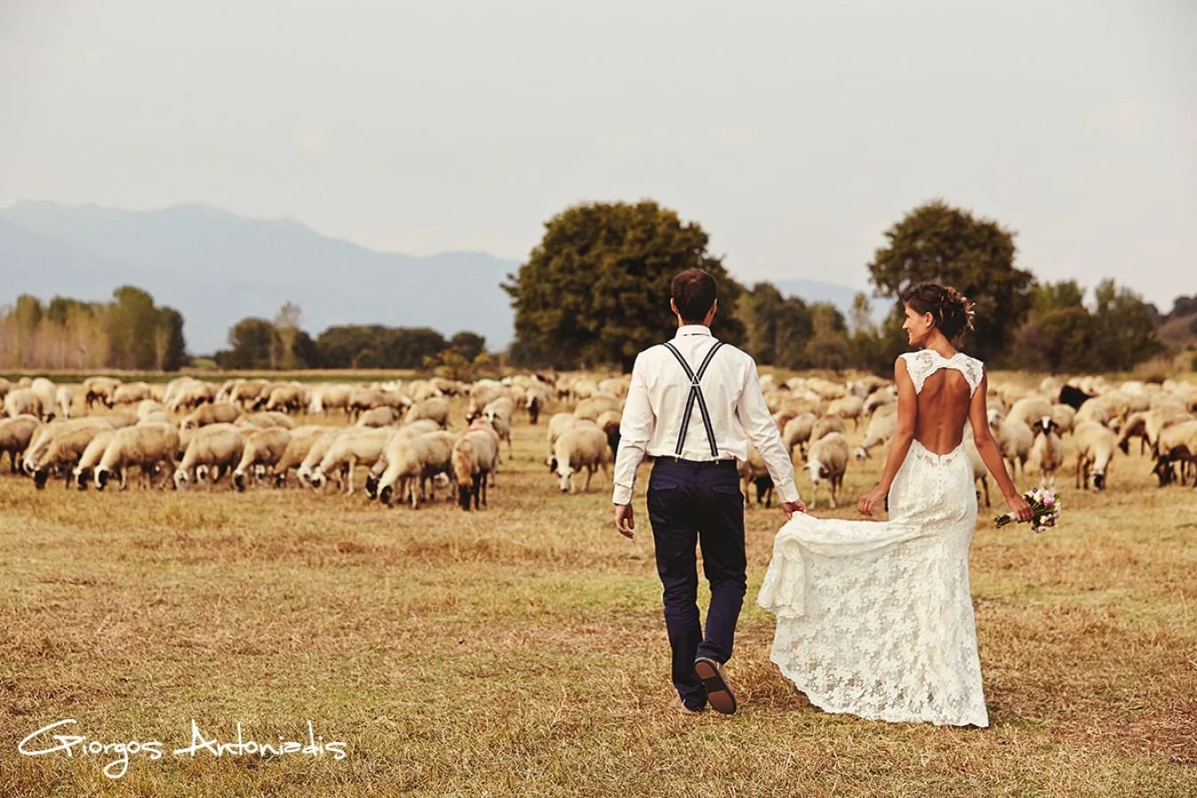 A bride and groom walking hand in hand through a field with a flock of sheep in the background on a farm. The bride wears a white lace wedding dress, and the groom wears white shirt with suspenders.